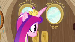Size: 1440x800 | Tagged: safe, screencap, character:princess cadance, species:alicorn, species:pony, episode:once upon a zeppelin, g4, my little pony: friendship is magic, autograph, autograph book, elvis presley, female, mare