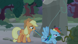 Size: 1920x1080 | Tagged: safe, screencap, character:applejack, character:rainbow dash, episode:shadow play, g4, my little pony: friendship is magic, biting, tail bite