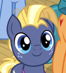 Size: 362x396 | Tagged: safe, screencap, character:star tracker, species:pony, episode:once upon a zeppelin, g4, my little pony: friendship is magic, airship, c:, cropped, cute, smiling, solo focus, trackerbetes, zeppelin