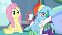 Size: 300x168 | Tagged: safe, screencap, character:fluttershy, character:rainbow dash, character:tank, species:pegasus, species:pony, episode:tanks for the memories, g4, my little pony: friendship is magic, bathrobe, clothing, crying, cute, dashabetes, dashie slippers, female, floppy ears, mare, misleading thumbnail, robe, sadorable, shyabetes, sitting, slippers, smiling, tank slippers, tortoise, turtle