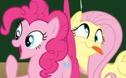 Size: 308x192 | Tagged: safe, screencap, character:fluttershy, character:pinkie pie, species:earth pony, species:pegasus, species:pony, episode:dragonshy, g4, my little pony: friendship is magic, blep, mlem, tongue out