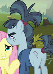 Size: 514x718 | Tagged: safe, screencap, character:fluttershy, character:hacksaw mccolt, species:earth pony, species:pegasus, species:pony, episode:the hooffields and mccolts, g4, my little pony: friendship is magic, cropped, female, hacksaw mccolt, mare, mccolt family, plot