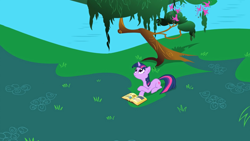 Size: 1920x1080 | Tagged: safe, screencap, character:twilight sparkle, character:twilight sparkle (unicorn), species:pony, species:unicorn, episode:friendship is magic, g4, my little pony: friendship is magic, season 1, book, book of harmony, female, grass, looking up, mare, meadow, overhead view, pond, prone, sitting, solo, tree, water