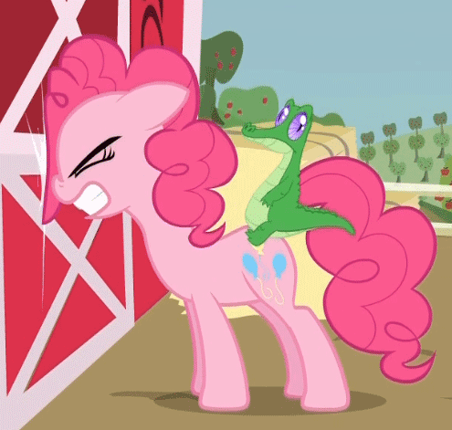 Size: 495x471 | Tagged: safe, screencap, character:pinkie pie, species:earth pony, species:pony, episode:party of one, g4, my little pony: friendship is magic, animated, barn, door, female, gif, gritted teeth, knocking, mare