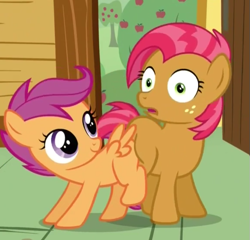 Size: 577x554 | Tagged: safe, screencap, character:babs seed, character:scootaloo, species:pegasus, species:pony, episode:one bad apple, g4, my little pony: friendship is magic, babscoot, butt bump, butt to butt, butt touch, grinding, out of context, surprised, wingboner