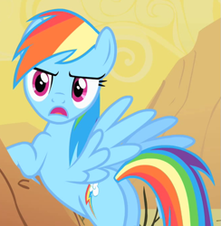 Size: 661x676 | Tagged: safe, screencap, character:rainbow dash, species:pegasus, species:pony, episode:over a barrel, g4, my little pony: friendship is magic, cropped, desert, female, mare, plot, solo