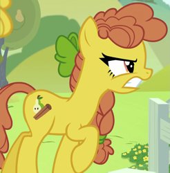 Size: 905x920 | Tagged: safe, screencap, character:cinnamon pear, species:earth pony, species:pony, episode:the perfect pear, g4, my little pony: friendship is magic, angry, background pony, bow, braid, cropped, female, food, frown, glare, gritted teeth, hair bow, mare, pear, pear family member, pear tree, raised hoof, solo