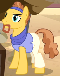 Size: 448x565 | Tagged: safe, screencap, character:taperet, species:earth pony, species:pony, episode:daring done, background pony, clothing, cropped, headband, male, mouth hold, saw, solo, somnambula resident, stallion