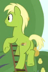 Size: 186x275 | Tagged: safe, screencap, species:earth pony, species:pony, episode:the perfect pear, g4, my little pony: friendship is magic, background pony, cropped, food, ladder, male, pear, pear family member, pear tree, plot, solo, stallion, underhoof, unnamed pony