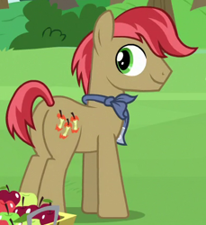 Size: 390x425 | Tagged: safe, screencap, character:apples snack, species:earth pony, species:pony, episode:the perfect pear, g4, my little pony: friendship is magic, apple, apple family member, background pony, bandana, basket, bushel basket, cropped, food, looking back, male, solo, stallion