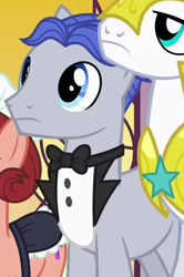 Size: 444x669 | Tagged: safe, screencap, species:earth pony, species:pony, episode:a royal problem, g4, my little pony: friendship is magic, background pony, butler, cobalt stone, cropped, female, male, mare, royal guard, solo focus, stallion