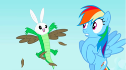 Size: 1281x719 | Tagged: safe, screencap, character:gummy, character:owlowiscious, character:rainbow dash, species:chimera, species:pegasus, species:pony, episode:may the best pet win, g4, my little pony: friendship is magic, alligator, allpet, dream, feather, flying