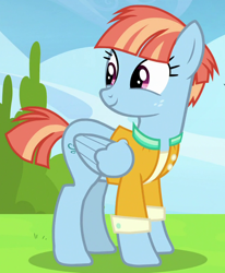 Size: 652x791 | Tagged: safe, screencap, character:windy whistles, episode:parental glideance, g4, my little pony: friendship is magic, cropped, cute, female, smiling, solo, windybetes