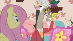 Size: 1280x720 | Tagged: safe, screencap, character:discord, character:fluttershy, species:draconequus, species:pony, episode:discordant harmony, g4, my little pony: friendship is magic, clothing, fading, glasses, sweater, transparent