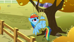 Size: 480x270 | Tagged: safe, screencap, character:rainbow dash, species:pegasus, species:pony, episode:fall weather friends, g4, my little pony: friendship is magic, ei, female, fence, hub logo, mare, rope, solo, suspended, tangled up, tied up, tree