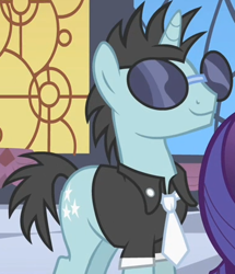 Size: 382x445 | Tagged: safe, screencap, character:neon lights, character:rising star, episode:sweet and elite, g4, my little pony: friendship is magic, background pony, clothing, glasses, sunglasses