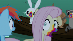 Size: 1280x720 | Tagged: safe, screencap, character:angel bunny, character:fluttershy, character:rainbow dash, species:pony, species:rabbit, episode:28 pranks later, g4, my little pony: friendship is magic, animal, cookie zombie, female, ferret, male, mare, open mouth