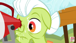 Size: 1280x720 | Tagged: safe, screencap, character:granny smith, episode:sisterhooves social, g4, my little pony: friendship is magic, eye scream, megaphone, ouch