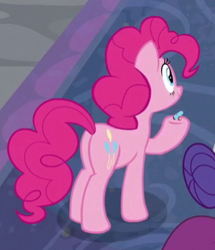 Size: 272x316 | Tagged: safe, screencap, character:pinkie pie, character:rarity, episode:school daze, g4, my little pony: friendship is magic, cropped, party cannon, plot, the world's smallest party cannon