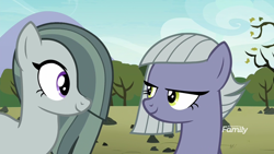 Size: 1920x1080 | Tagged: safe, screencap, character:limestone pie, character:marble pie, species:earth pony, species:pony, episode:the maud couple, g4, my little pony: friendship is magic, bedroom eyes, discovery family logo, duo, female, out of context, sisters