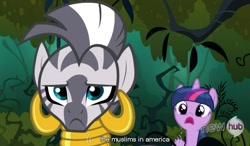Size: 787x461 | Tagged: safe, screencap, character:twilight sparkle, character:zecora, species:zebra, episode:magic duel, g4, my little pony: friendship is magic, everfree forest, hub logo, hubble, islam, the hub, united states, youtube caption