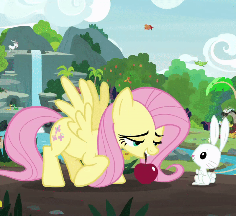 Size: 800x733 | Tagged: safe, screencap, character:angel bunny, character:constance, character:discord, character:fluttershy, species:bird, species:draconequus, species:goat, species:pegasus, species:pony, species:rabbit, season 8, animated, apple, cropped, cute, eating, female, flying, food, giraffe, hoof on cheek, intro, male, mare, messy eating, shyabetes, smiling, snake, sucking, sunglasses, sweet feather sanctuary, tanning mirror