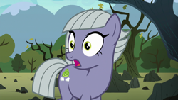 Size: 1920x1080 | Tagged: safe, screencap, character:limestone pie, species:earth pony, species:pony, episode:the maud couple, g4, my little pony: friendship is magic, female, mare, open mouth, solo, wide eyes