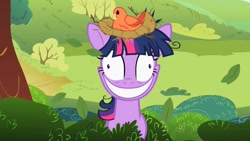 Size: 1280x720 | Tagged: safe, screencap, character:constance, character:twilight sparkle, species:bird, episode:lesson zero, g4, my little pony: friendship is magic, crazy smile, grin, insanity, nest, smiling, solo, songbird, twilight snapple, unhinged