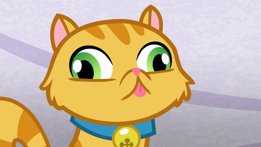 Size: 902x508 | Tagged: safe, screencap, episode:grannies gone wild, g4, my little pony: friendship is magic, animated, blinking, cat, derp, derp cat, gif, slow blink, solo