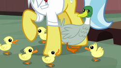 Size: 1280x720 | Tagged: safe, screencap, character:doctor fauna, species:duck, species:mallard, species:pony, episode:fluttershy leans in, g4, my little pony: friendship is magic, duckling, hooves