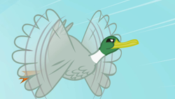 Size: 1280x720 | Tagged: safe, screencap, species:bird, species:duck, species:mallard, episode:may the best pet win, g4, my little pony: friendship is magic, determined, flying, solo