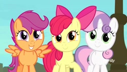 Size: 1280x720 | Tagged: safe, screencap, character:apple bloom, character:scootaloo, character:sweetie belle, species:earth pony, species:pegasus, species:pony, species:unicorn, episode:surf and/or turf, g4, my little pony: friendship is magic, adorabloom, cute, cutealoo, cutie mark crusaders, diasweetes, female, filly, happy, looking at you, smiling