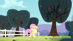 Size: 1280x720 | Tagged: safe, screencap, character:fluttershy, species:bat, species:pegasus, species:pony, episode:bats!, g4, my little pony: friendship is magic, apple orchard, apple tree, bullet seed, female, fence, fruit bat, mare, one eye closed, red eyes, shielding face, spread wings, tree, upside down, vampire fruit bat, wings