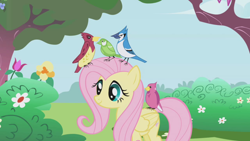 Size: 1280x720 | Tagged: safe, screencap, character:fluttershy, species:bird, species:pegasus, species:pony, episode:the ticket master, g4, my little pony: friendship is magic, blue jay, canterlot gardens, female, flower, mare, songbird
