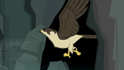 Size: 1280x720 | Tagged: safe, screencap, species:bird, episode:may the best pet win, g4, my little pony: friendship is magic, animal, eyes closed, falcon, hole, peregrine falcon, solo, spread wings, straining, wings