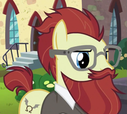Size: 605x546 | Tagged: safe, screencap, character:professor omega, species:earth pony, species:pony, episode:the parent map, g4, background pony, beard, cropped, facial hair, glasses, male, messy hair, moustache, sire's hollow, solo, stallion