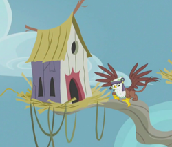 Size: 684x584 | Tagged: safe, screencap, species:griffon, episode:the lost treasure of griffonstone, g4, my little pony: friendship is magic, background griffon, cropped, female, headband, house, looking down, solo, spread wings, tree branch, wings