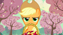 Size: 1440x808 | Tagged: safe, screencap, character:applejack, species:pony, episode:the last roundup, g4, my little pony: friendship is magic, annoyed, basket, cherry, cherry orchard, cherry tree, female, food, mare, mouth hold, orchard, solo, tree, working, yellow cherry
