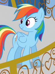 Size: 358x486 | Tagged: safe, screencap, character:rainbow dash, episode:games ponies play, g4, my little pony: friendship is magic, balcony, cropped, cute, solo