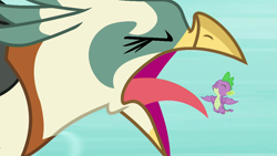 Size: 1280x720 | Tagged: safe, screencap, character:spike, species:bird, species:dragon, species:roc, episode:molt down, g4, my little pony: friendship is magic, flying, open beak, screech, tongue out, winged spike