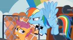 Size: 1655x923 | Tagged: safe, screencap, character:rainbow dash, character:scootaloo, species:pegasus, species:pony, episode:marks for effort, g4, my little pony: friendship is magic, basketball, duo, duo female, duo focus, female, groucho mask, gym, sports