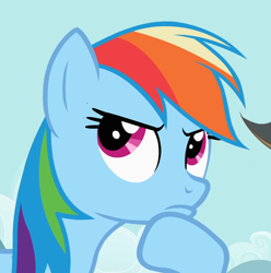 Size: 940x948 | Tagged: safe, screencap, character:rainbow dash, species:pony, episode:may the best pet win, g4, my little pony: friendship is magic, cropped, female, find a pet, mare, reaction image, solo, thinking