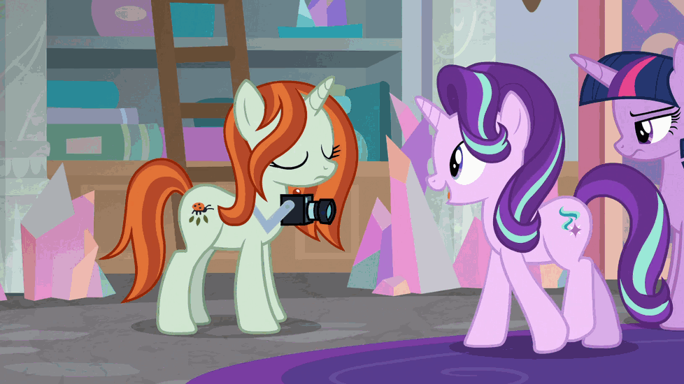 Size: 978x550 | Tagged: safe, screencap, character:crackle cosette, character:queen chrysalis, character:starlight glimmer, character:twilight sparkle, character:twilight sparkle (alicorn), species:alicorn, species:pony, species:unicorn, episode:the mean 6, g4, my little pony: friendship is magic, animated, camera, disguise, disguised changeling