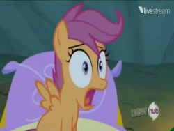 Size: 384x288 | Tagged: safe, screencap, character:scootaloo, species:pegasus, species:pony, episode:sleepless in ponyville, g4, my little pony: friendship is magic, hub logo, livestream, wrong aspect ratio