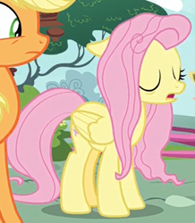 Size: 330x379 | Tagged: safe, screencap, character:applejack, character:fluttershy, species:earth pony, species:pegasus, species:pony, episode:yakity-sax, g4, my little pony: friendship is magic, cropped, horses doing horse things, messy mane, sleeping, sleeping while standing