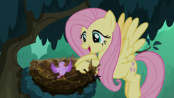 Size: 1280x720 | Tagged: safe, screencap, character:fluttershy, species:bird, species:pegasus, species:pony, episode:the mean 6, g4, my little pony: friendship is magic, season 8, bird nest, chick, cute, duo, female, flying, happy, kindness, mare, nest, open mouth, shyabetes, spread wings, tree, wings