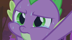 Size: 992x559 | Tagged: safe, screencap, character:spike, episode:dragon quest, g4, my little pony: friendship is magic, sweat, teary eyes