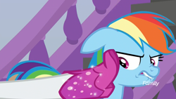 Size: 1920x1080 | Tagged: safe, screencap, character:rainbow dash, character:rarity, species:pegasus, species:pony, episode:the end in friend, g4, my little pony: friendship is magic, boot, discovery family logo, disgusted, female, floppy ears, glitter, lip bite, mare, narrowed eyes