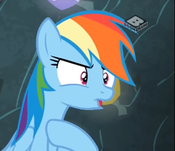 Size: 694x597 | Tagged: safe, screencap, character:rainbow dash, species:pegasus, species:pony, episode:the end in friend, g4, my little pony: friendship is magic, angry, boomerang (tv channel), cropped, female, hoof on chest, mare, solo
