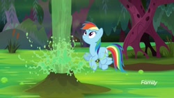 Size: 1920x1080 | Tagged: safe, screencap, character:rainbow dash, species:pegasus, species:pony, episode:the end in friend, g4, my little pony: friendship is magic, cattails, female, flying, froggy bottom bog, geyser, looking up, mare, smiling, solo, swamp, water